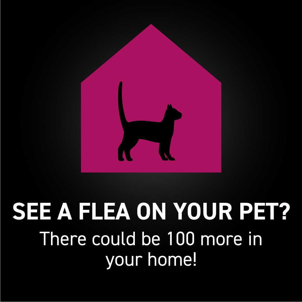 Flea & Tick Topical Cats 3-Month J374