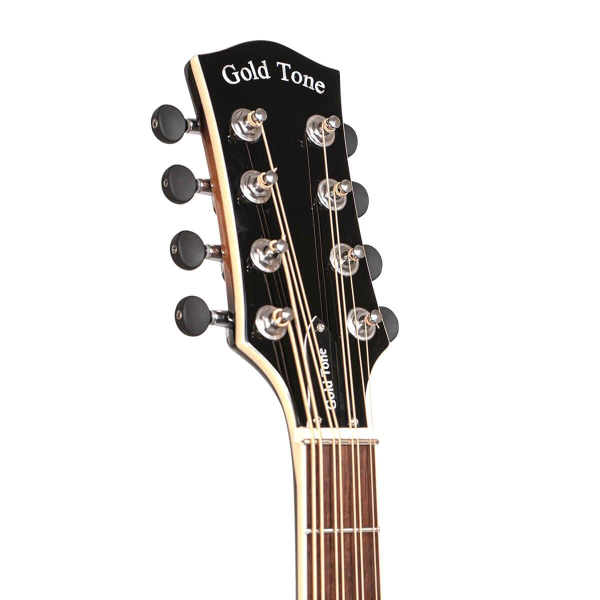 Mandocello with Pickup and Case O284