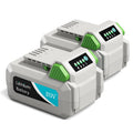 20V 4.0Ah Rechargeable Lithium Battery U2041