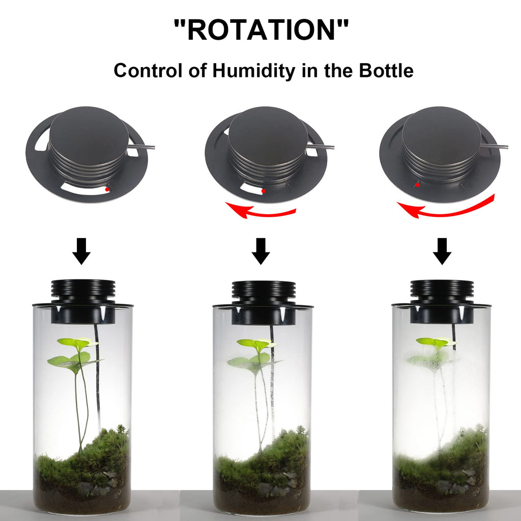Glass Plant Terrarium with Grow Light T17505