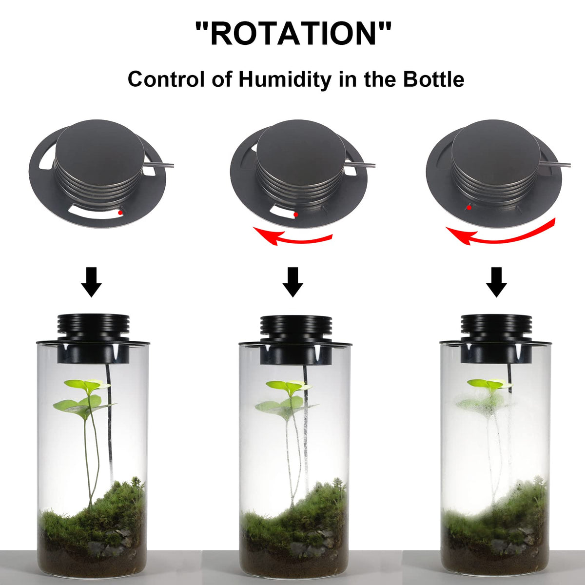Glass Plant Terrarium with Grow Light T17505
