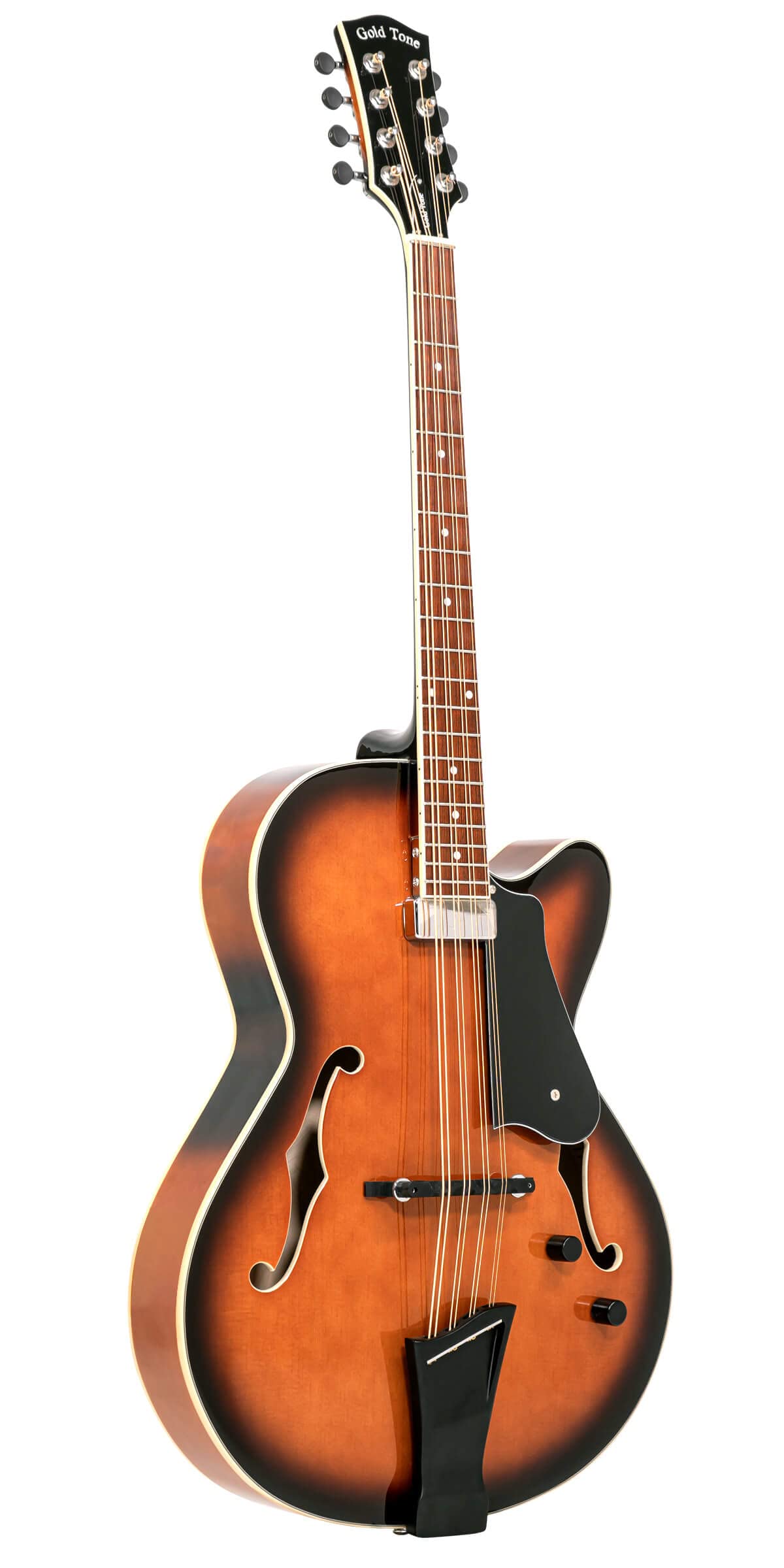 Mandocello with Pickup and Case O284