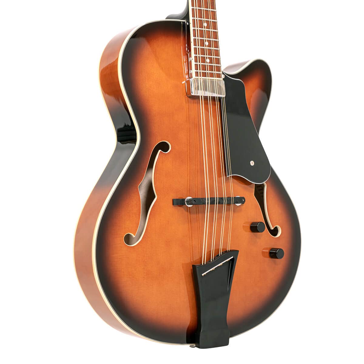 Mandocello with Pickup and Case O284