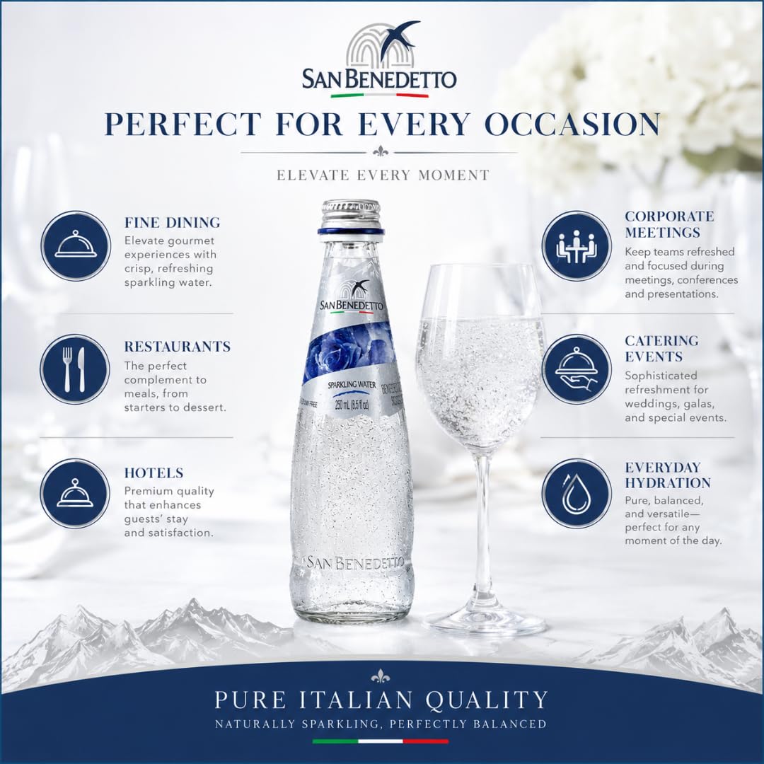 Sparkling Mineral Water 250 mL Glass Bottles 12 Count P219