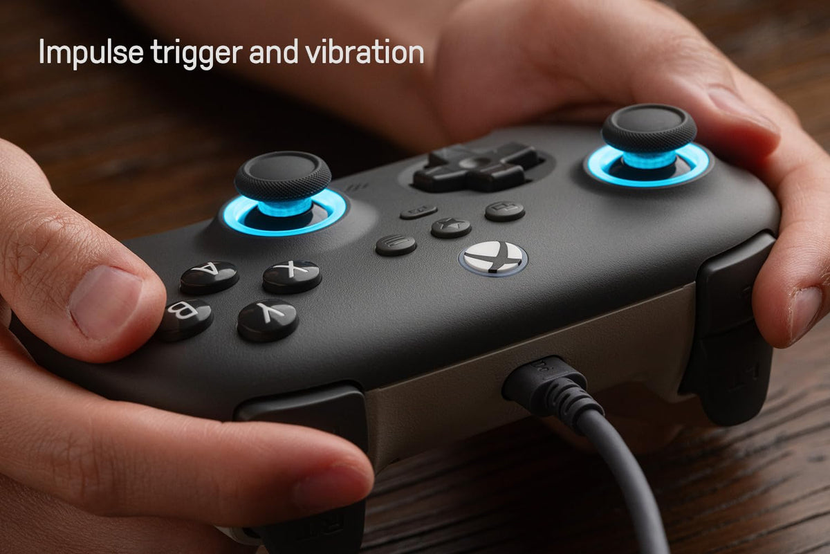 Wired Controller with RGB Lighting Dark Gray N381