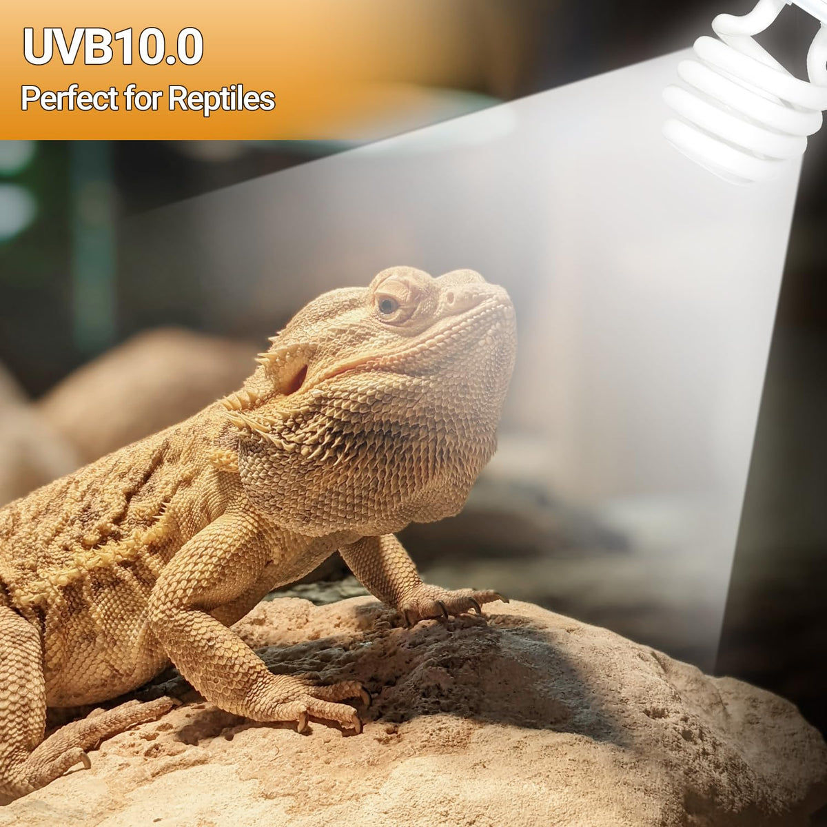 100W Reptile Heat Lamp Bulb and 26W 10.0 UVB Reptile Light Combo Pack J8191