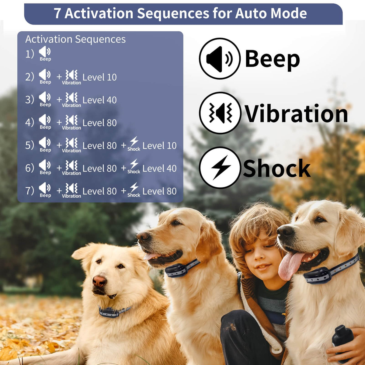 Shock Collar for 3 Dogs B1343