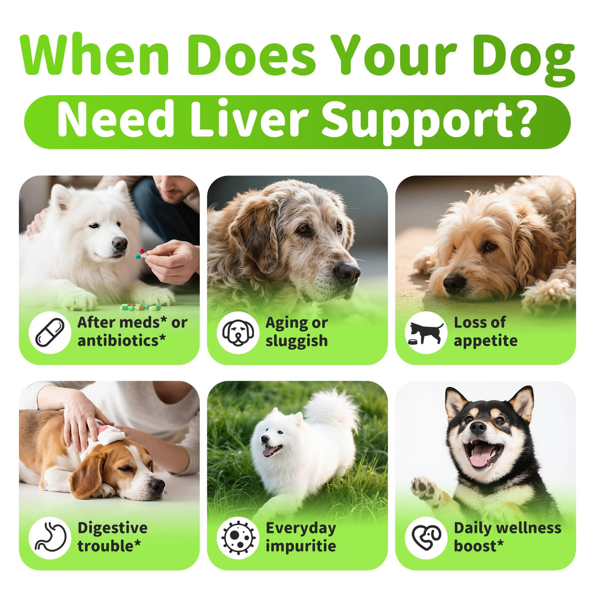 Dog Liver Support Chews with Milk Thistle F734
