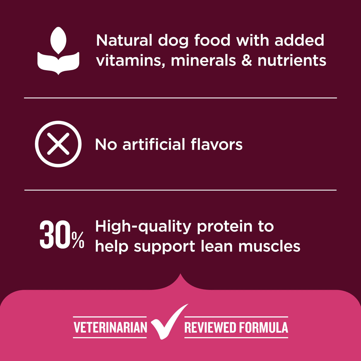 High Protein Dry Dog Food 4 lb. Bag X93539