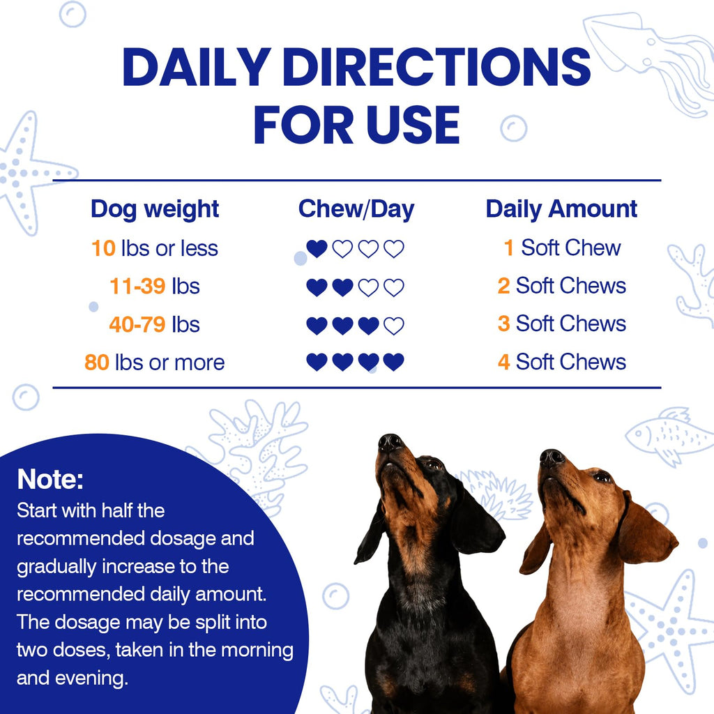 Omega 3 Skin and Coat Dog Supplement 200 Chews Fish Oil C47108