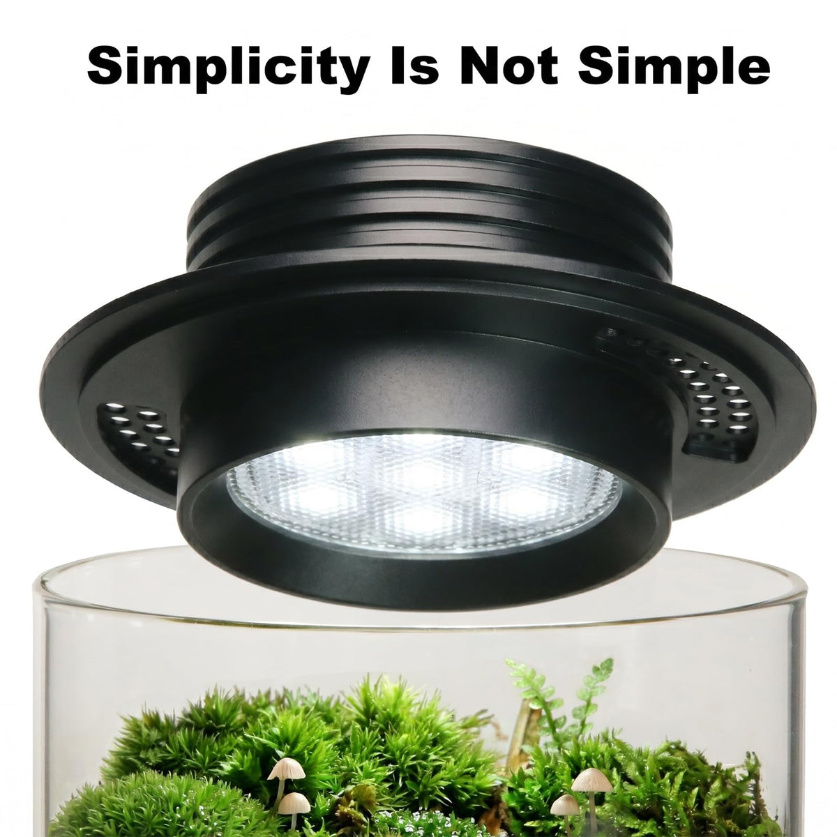 Glass Plant Terrarium with Grow Light T17505