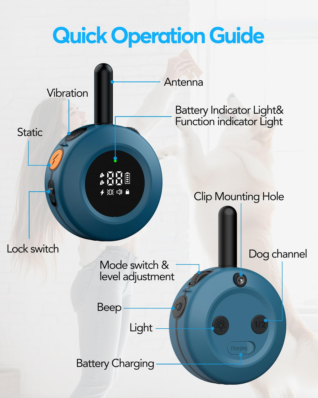 Dog Training Collar with Remote X66072