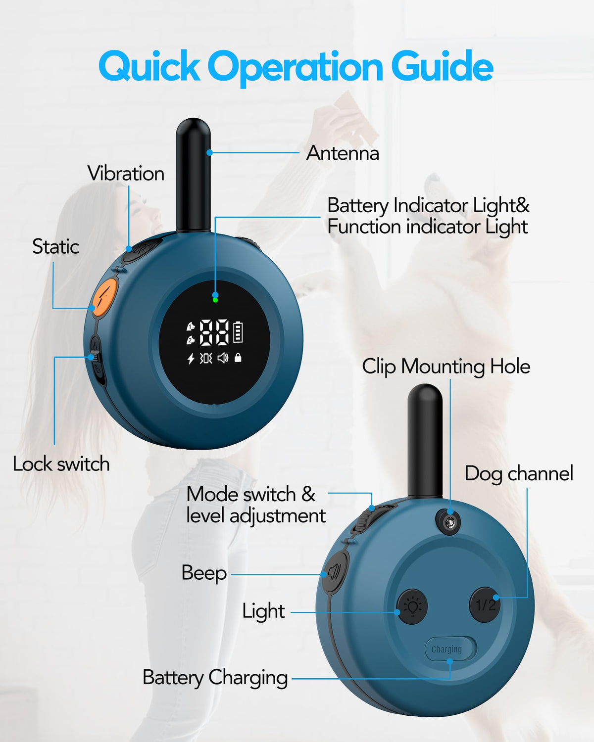 Dog Training Collar with Remote X66072