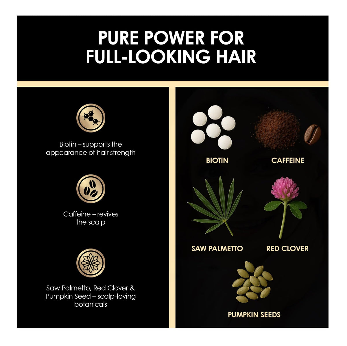 Biotin Caffeine Shampoo and Conditioner Set F8820