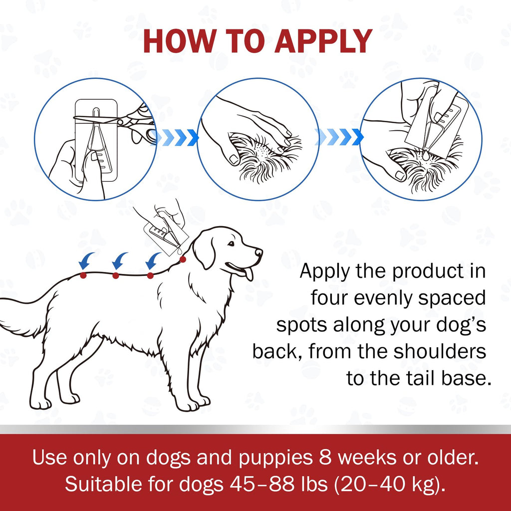 Large Dog Flea and Tick Prevention 6-Month Supply P914