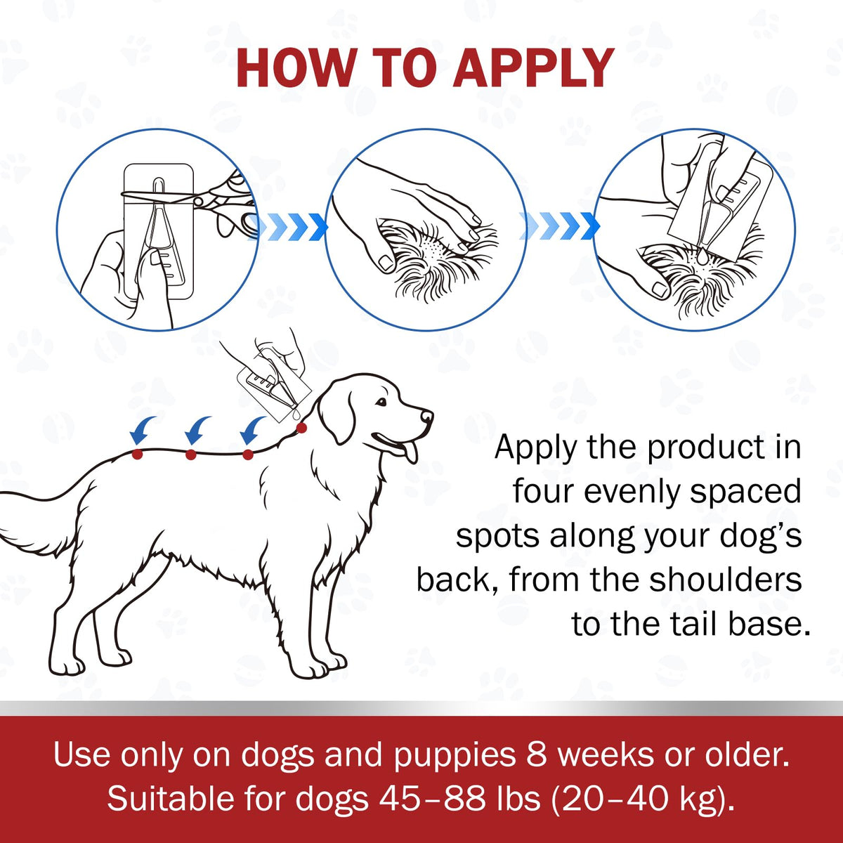 Large Dog Flea and Tick Prevention 6-Month Supply P914