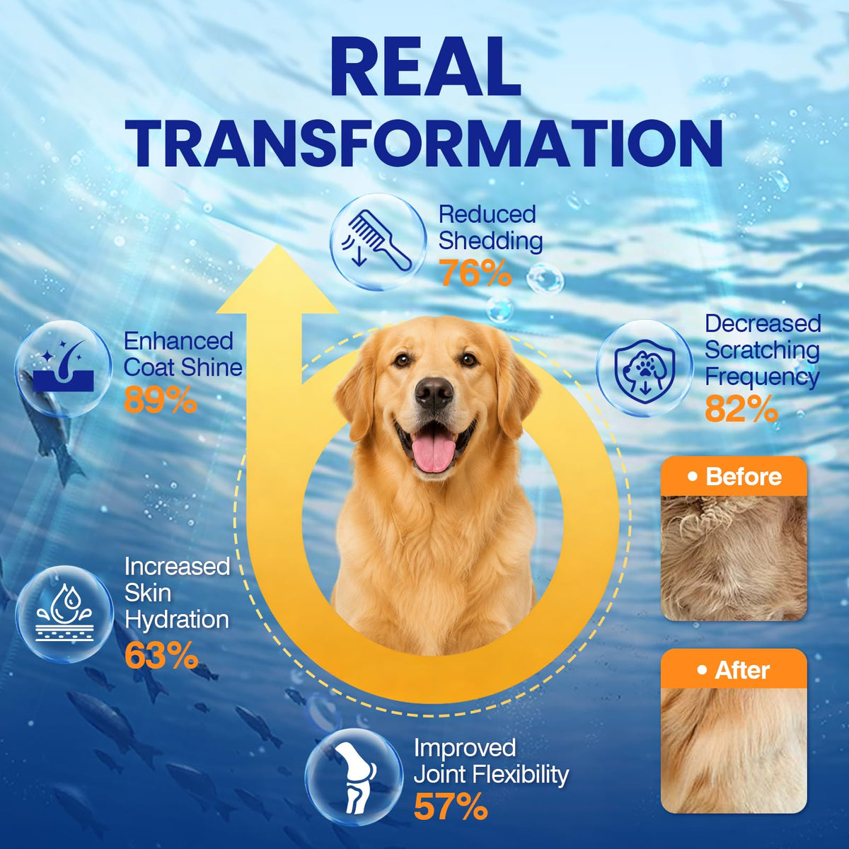 Omega 3 Skin and Coat Dog Supplement 200 Chews Fish Oil C47108