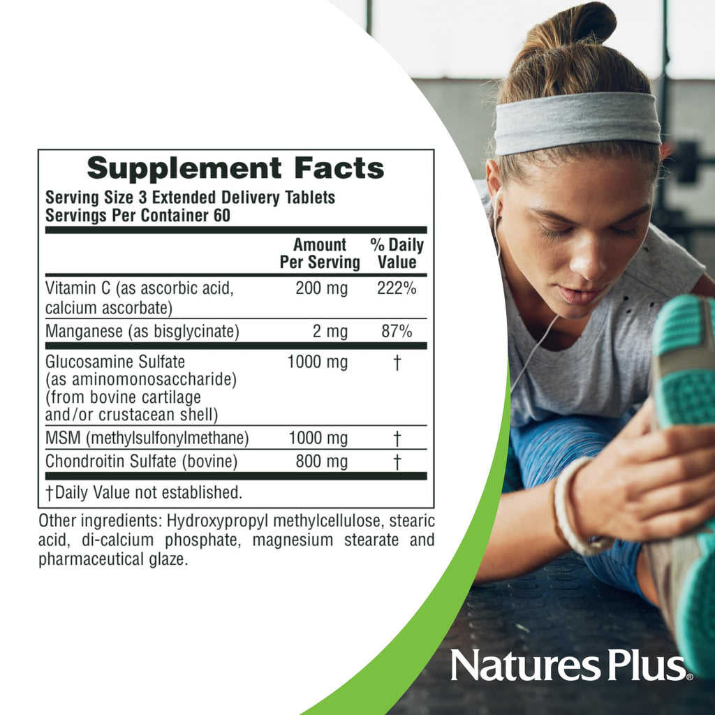 180 Tablets Glucosamine Chondroitin MSM Joint Support P20568