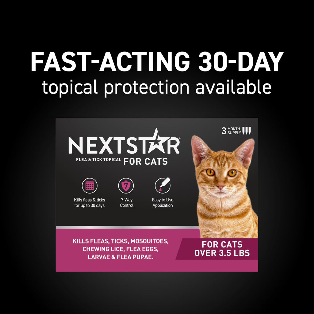 Flea & Tick Topical Cats 3-Month J374