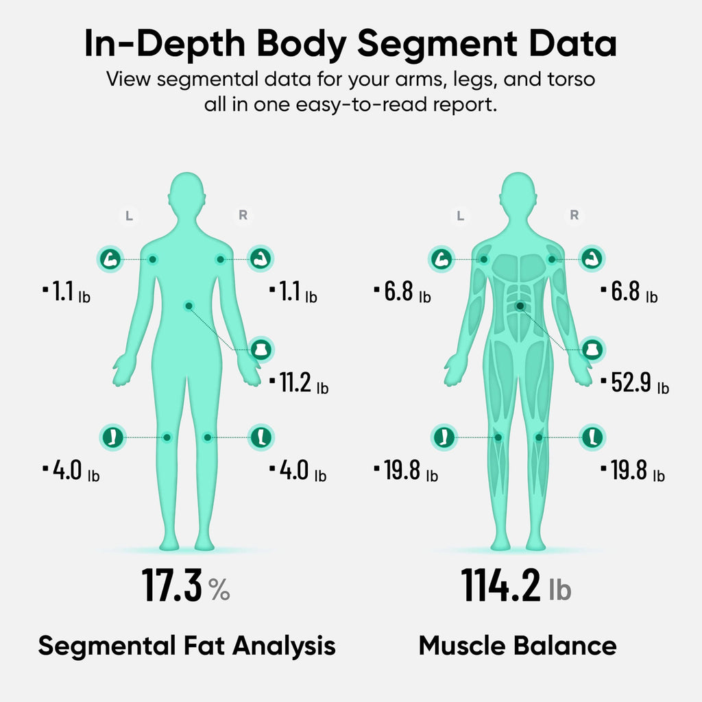 Wi-Fi & Bluetooth Body Composition Scale with Handle, 400 lbs, Black Z94853