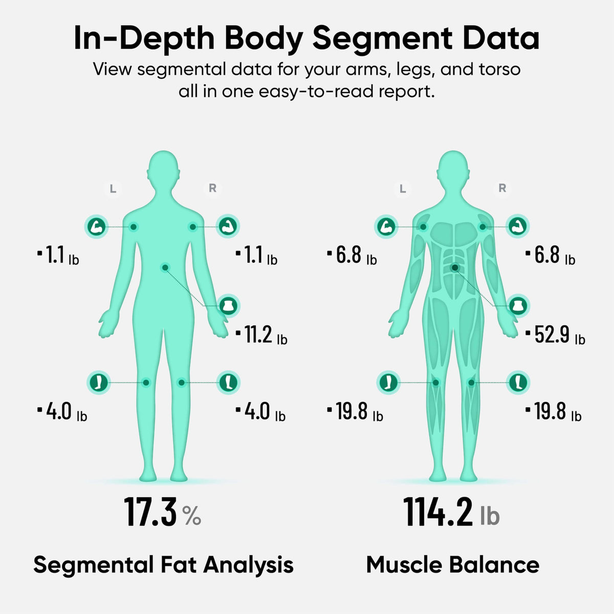 Wi-Fi & Bluetooth Body Composition Scale with Handle, 400 lbs, Black Z94853