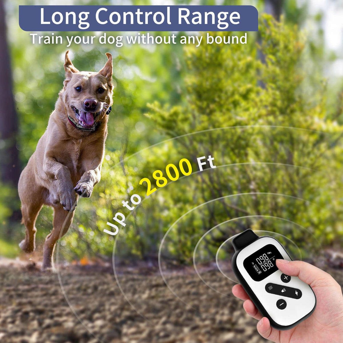 Shock Collar for 3 Dogs B1343