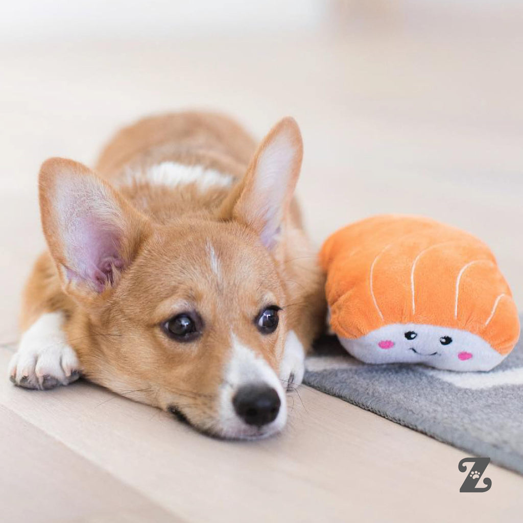 Dog Squeaky Toys C1374