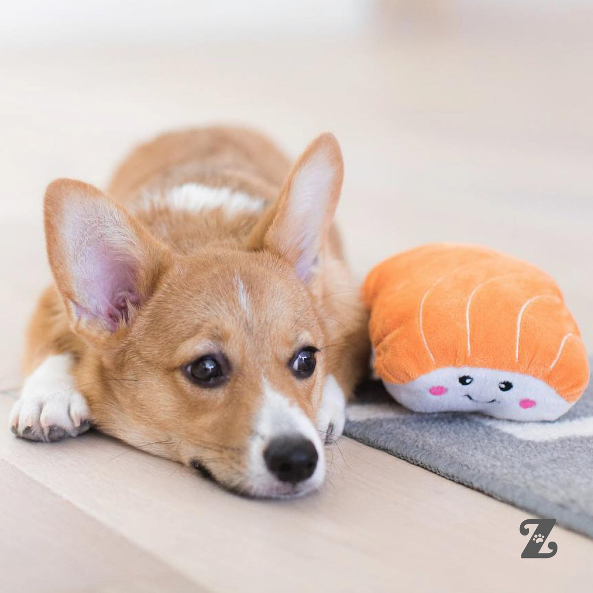 Dog Squeaky Toys C1374