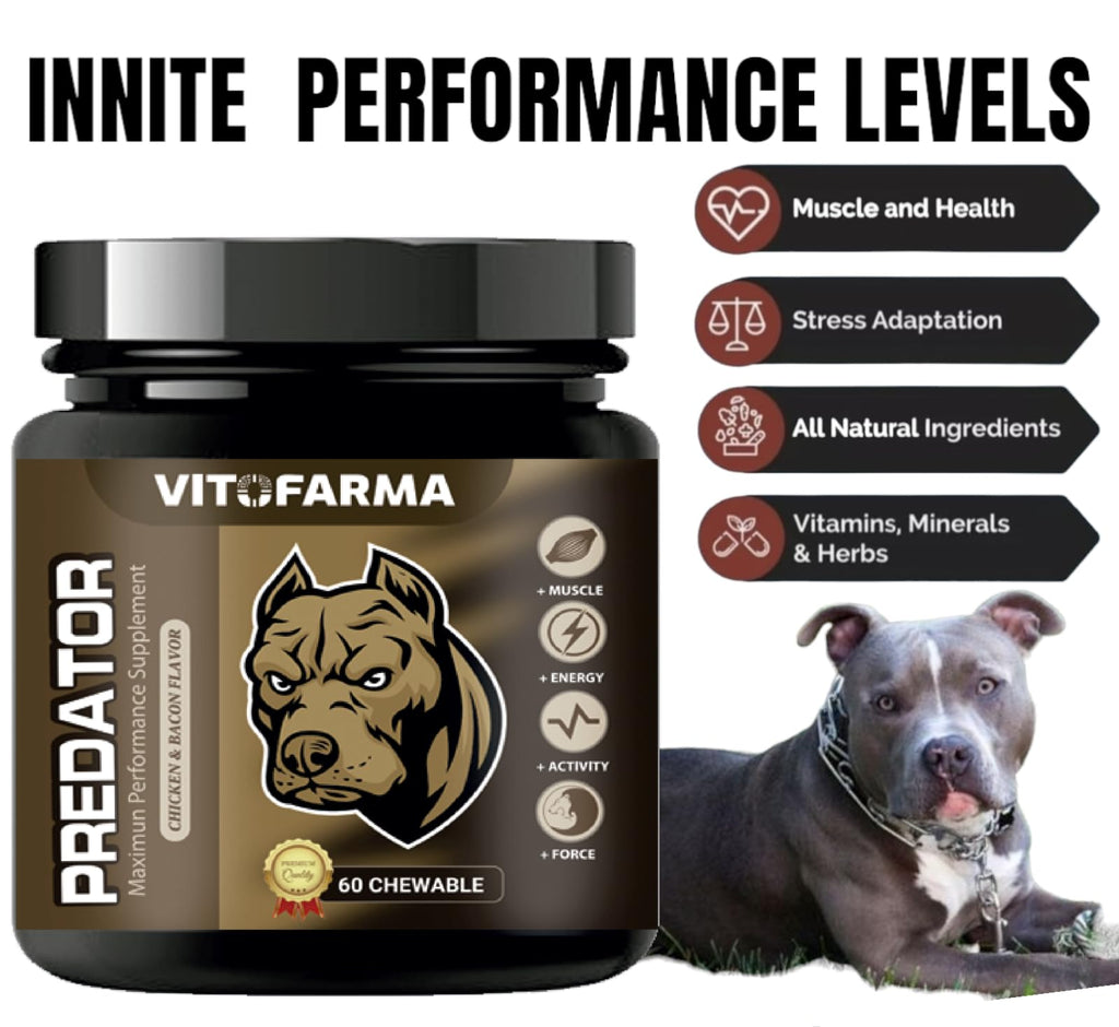 Chewable Tablets for Dogs H979
