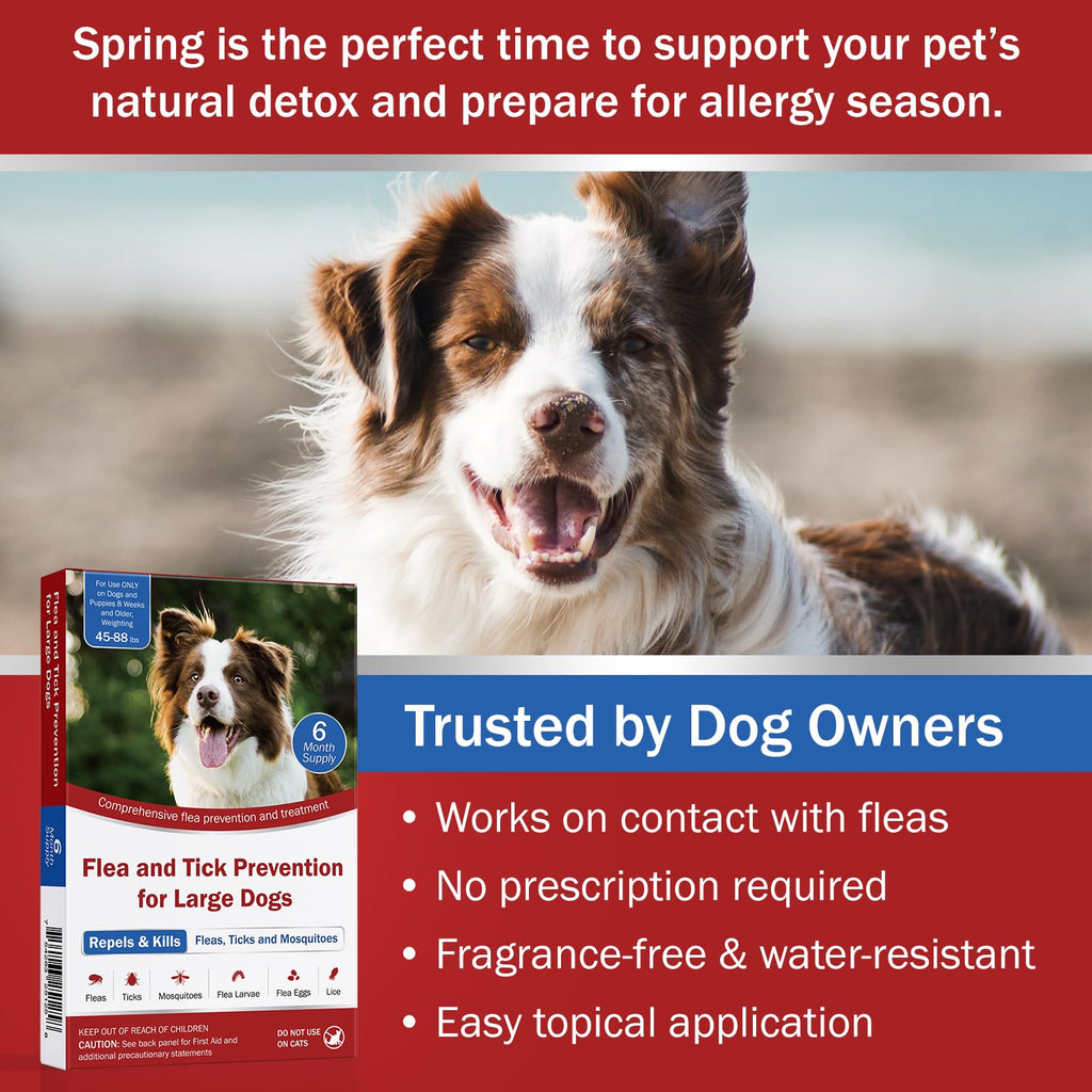 Large Dog Flea and Tick Prevention 6-Month Supply P914