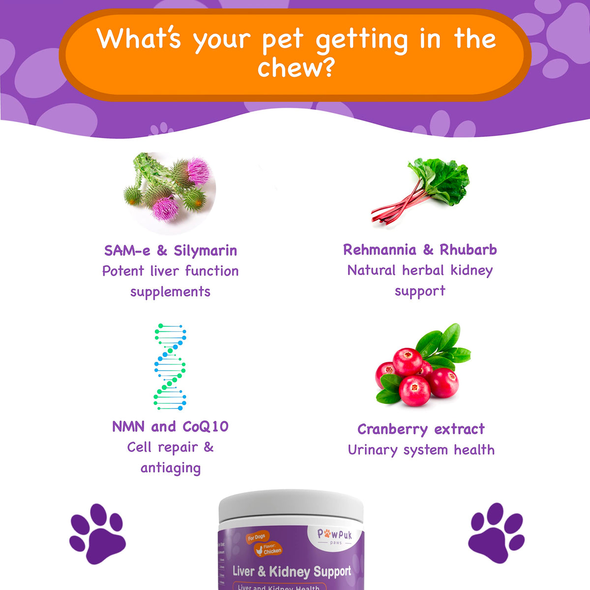 Liver & Kidney Vitamins Supplements for Dogs O884431