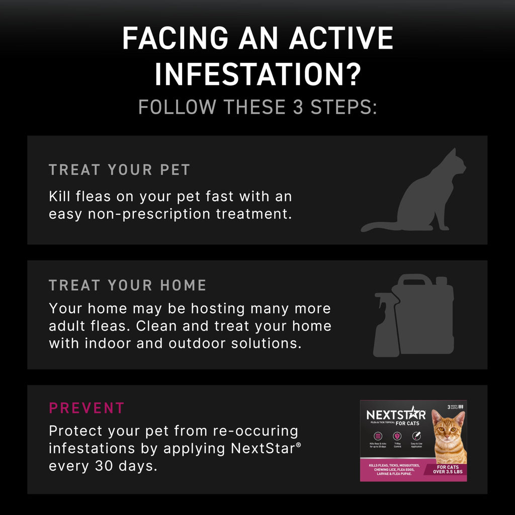 Flea & Tick Topical Cats 3-Month J374