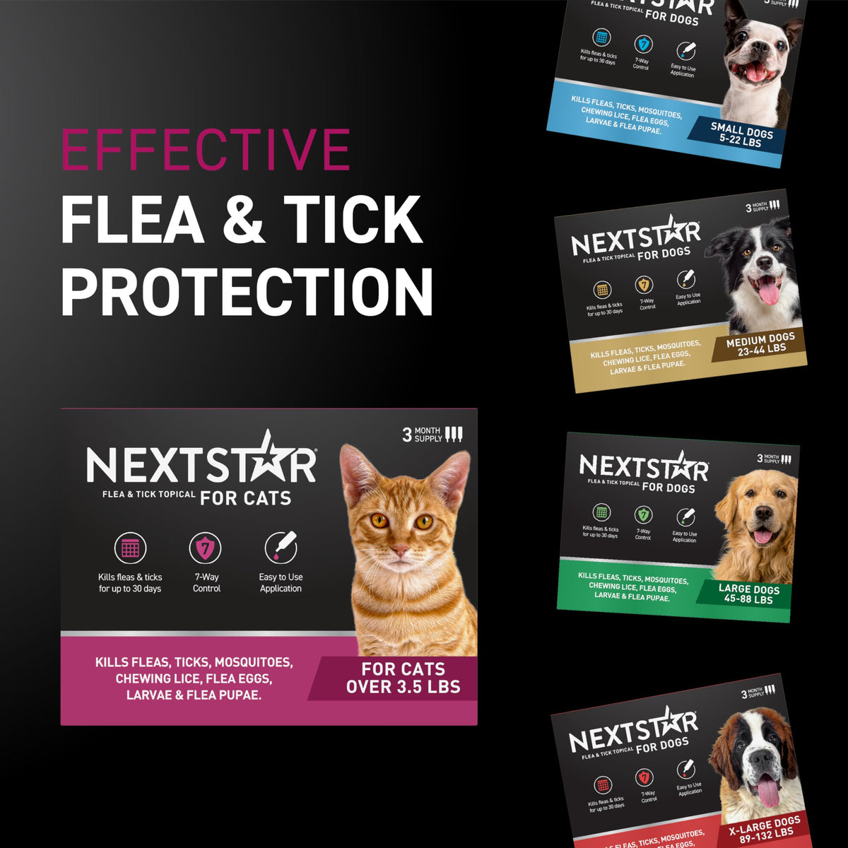 Flea & Tick Topical Cats 3-Month J374