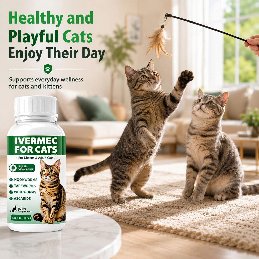 Cat Dewormer Liquid for Cats & Kittens N33069