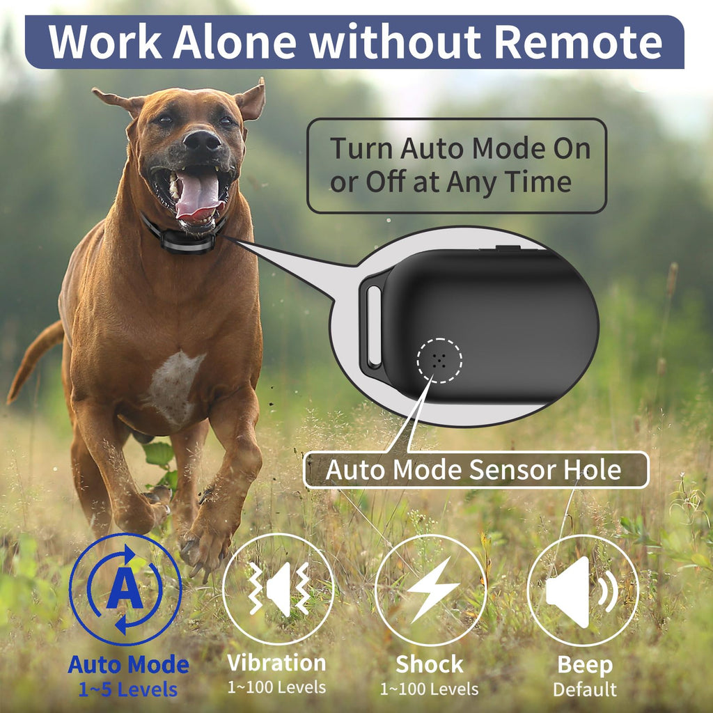 Shock Collar for 3 Dogs B1343