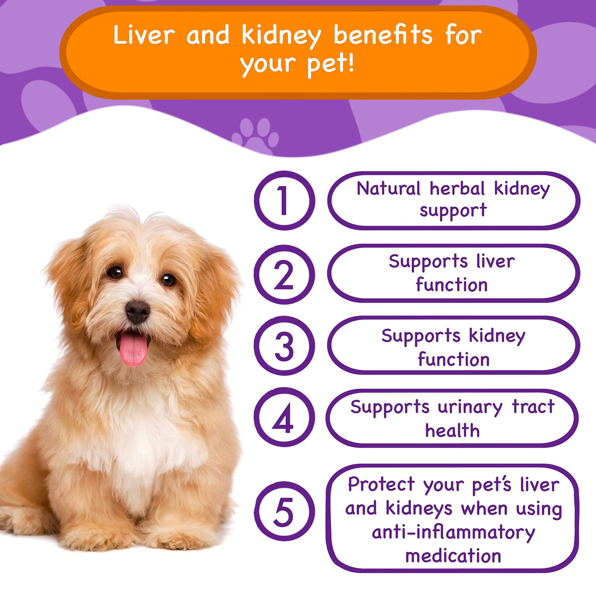Liver & Kidney Vitamins Supplements for Dogs O884431