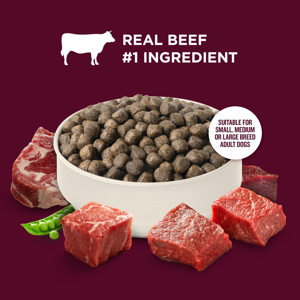 High Protein Dry Dog Food 4 lb. Bag X93539