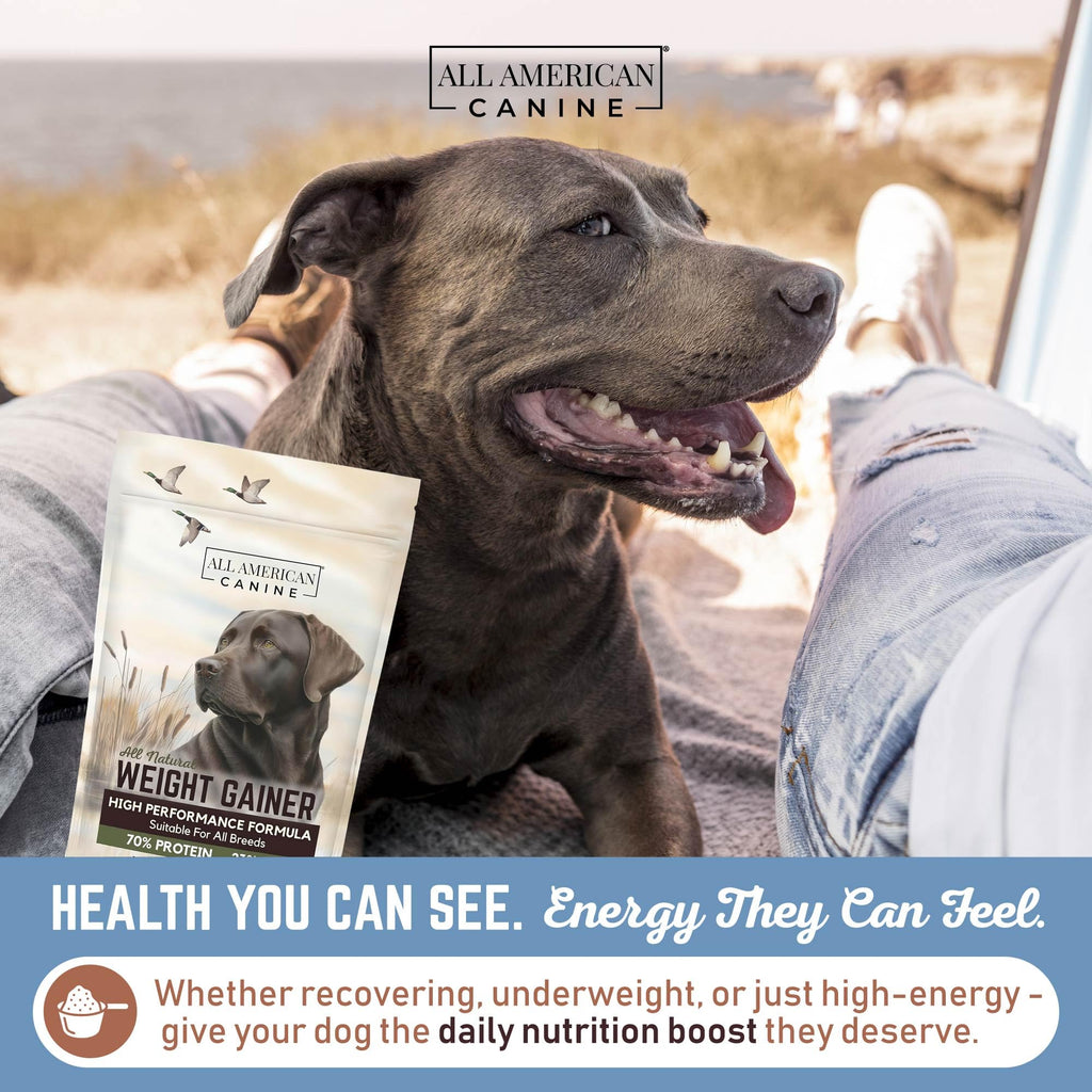 High Calorie Dog Weight Gainer Powder 60 Servings Q71975