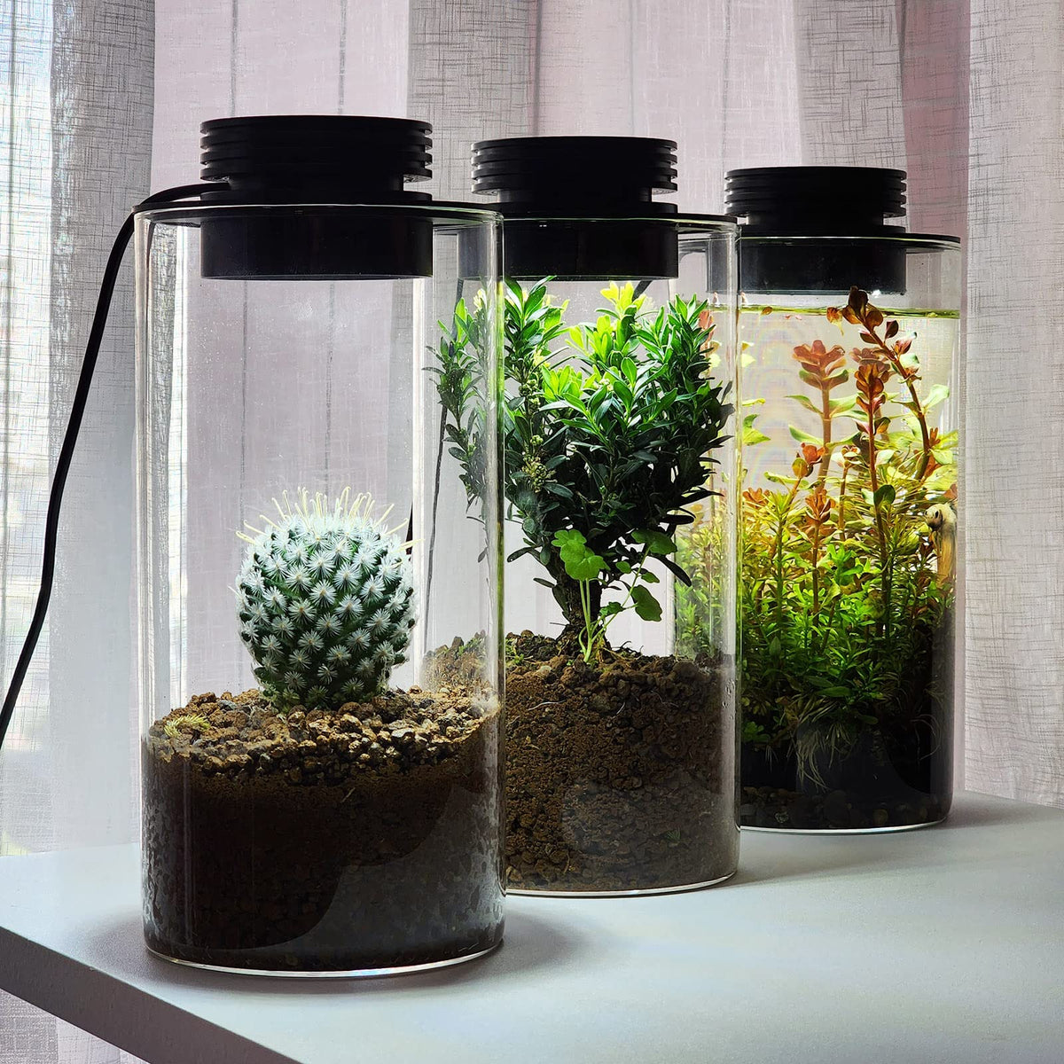 Glass Plant Terrarium with Grow Light T17505