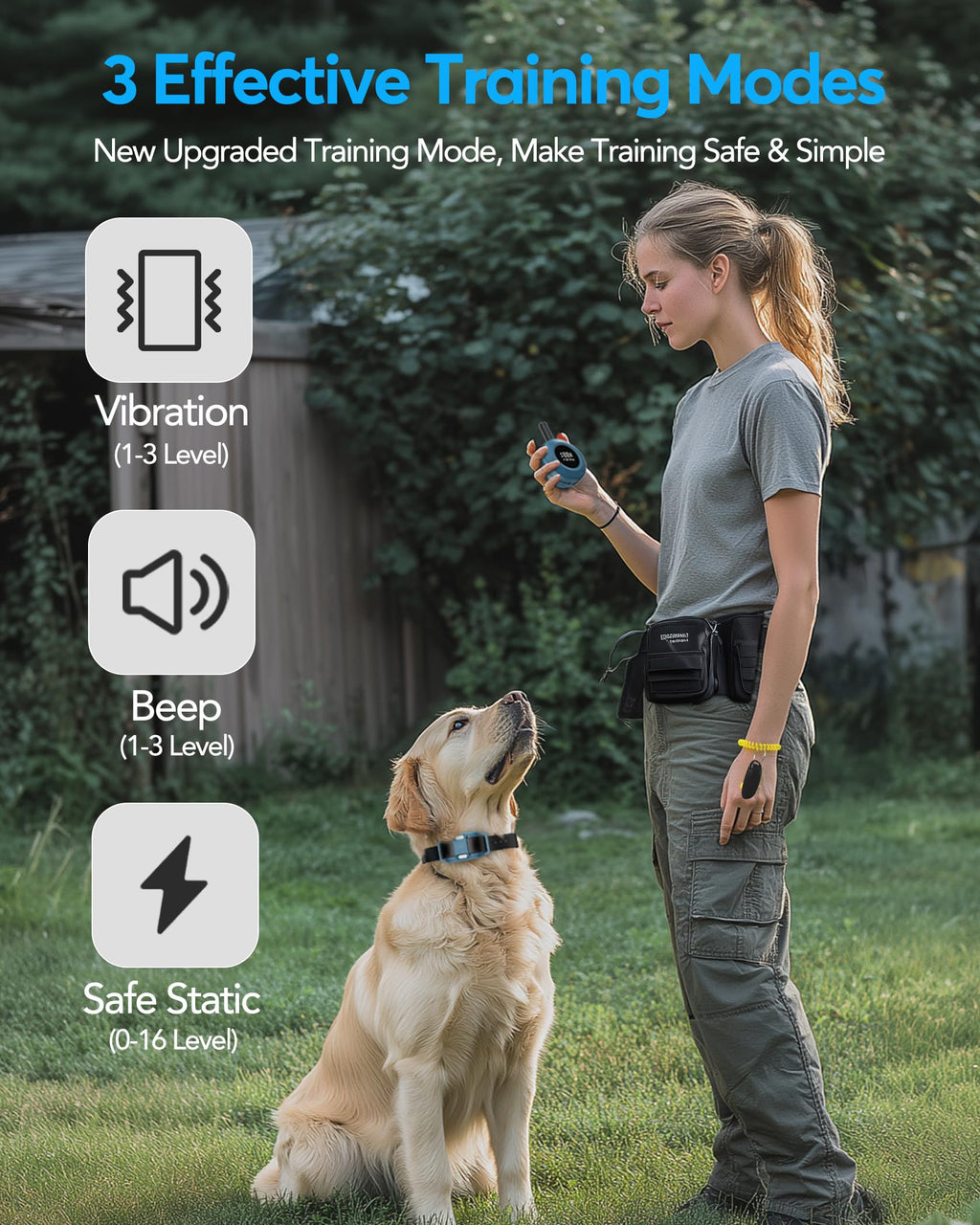 Dog Training Collar with Remote X66072