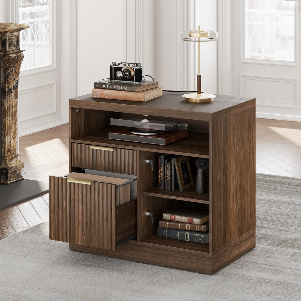2 Drawer File Cabinet with Lock O53137