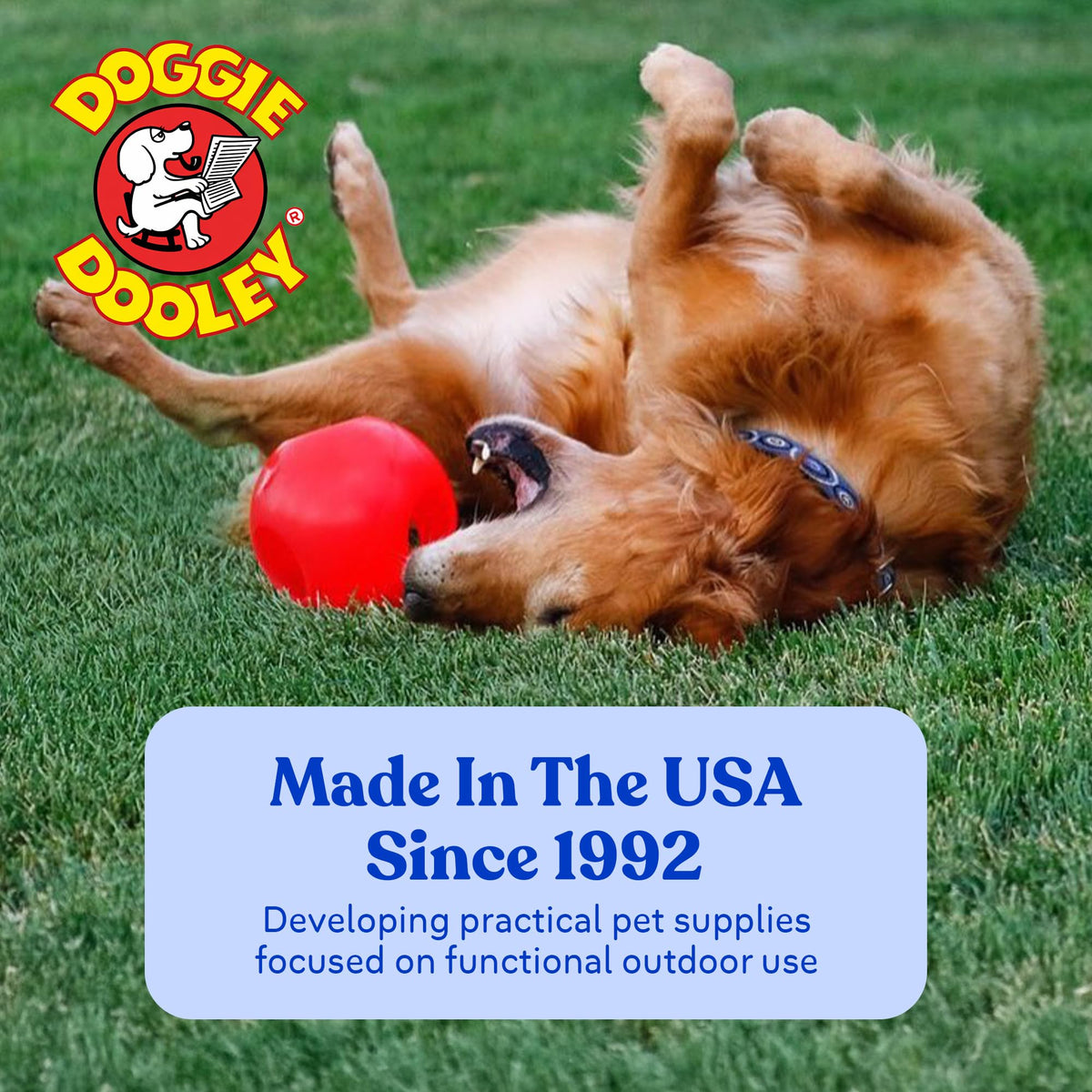 Red 10 Inch Dog Ball F337465