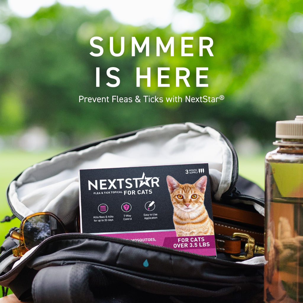 Flea & Tick Topical Cats 3-Month J374
