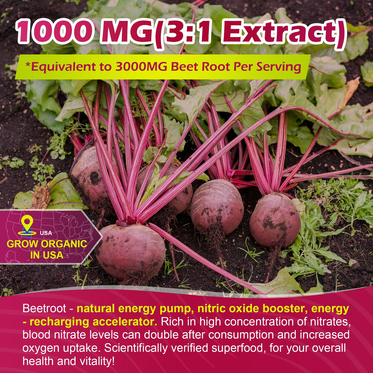 Beet Root Gummies with L-Citrulline & L-Arginine, Sugar Free E17195